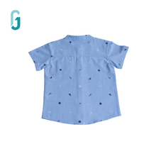 Load image into Gallery viewer, Shirt -Printed - (Light Blue)
