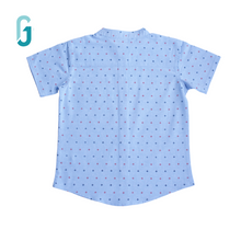 Load image into Gallery viewer, Shirt - Chinese color  (Light Blue)

