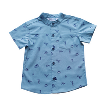 Load image into Gallery viewer, Shirt - Dinosaur (Teal)
